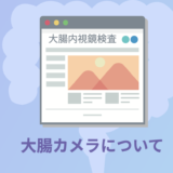 大腸カメラ