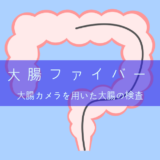 大腸カメラ