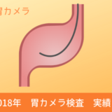 胃カメラ 2018