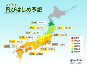 花粉症治療薬ランキング 医療法人 慈光会 中谷医院